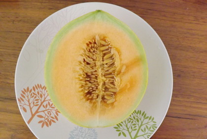 韓国メロン
